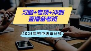 直播：巩固提升+专项+冲刺--2025年初中级审计师