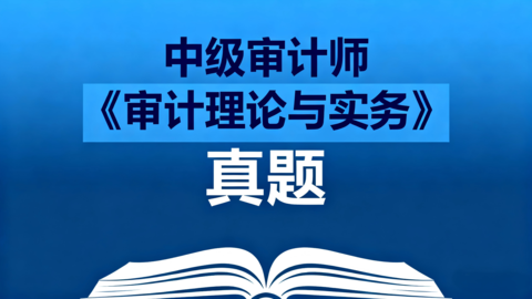 【真题】中级审计师《审计理论与实务》 