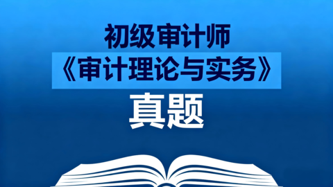 【真题】初级审计师《审计理论与实务》 